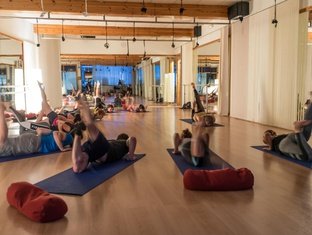 Wellness Club Wellness Club
