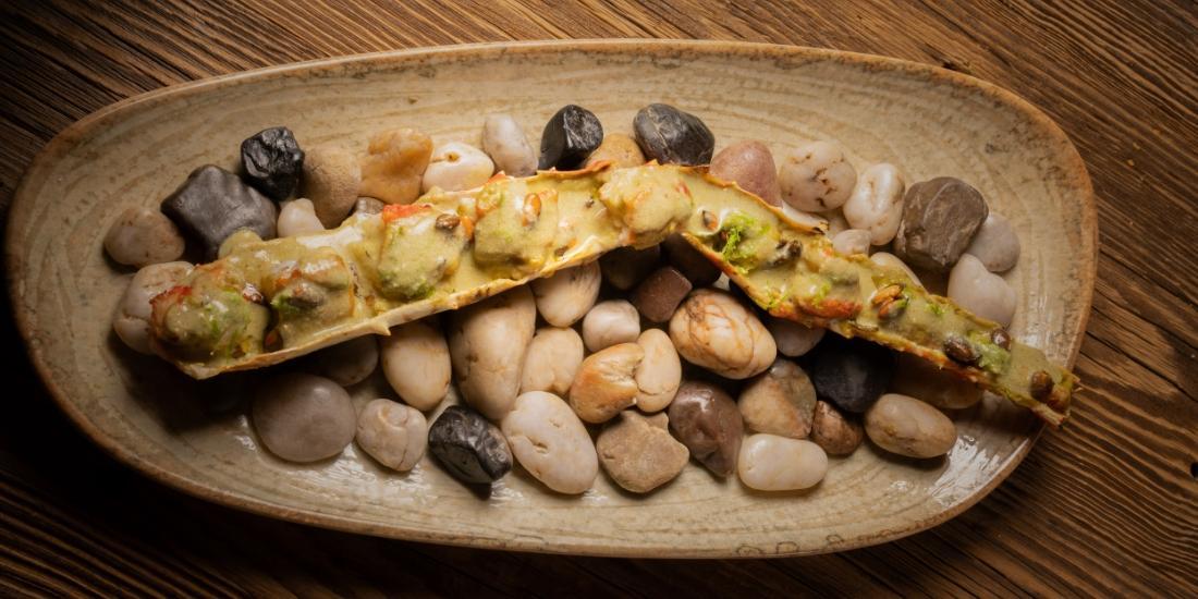 TOC by Paco Méndez AnyósPark Mountain TOC by Paco Méndez AnyósPark Mountain